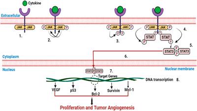 Pharmacological impact of microRNAs in head and neck squamous cell carcinoma: Prevailing insights on molecular pathways, diagnosis, and nanomedicine treatment